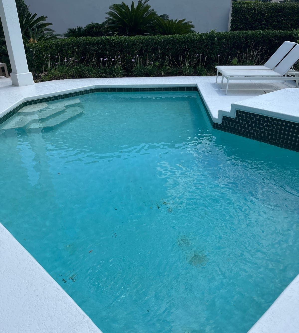 Pool with a dark green glass tile waterline, white plaster, and a white textured concrete deck with lounge chairs